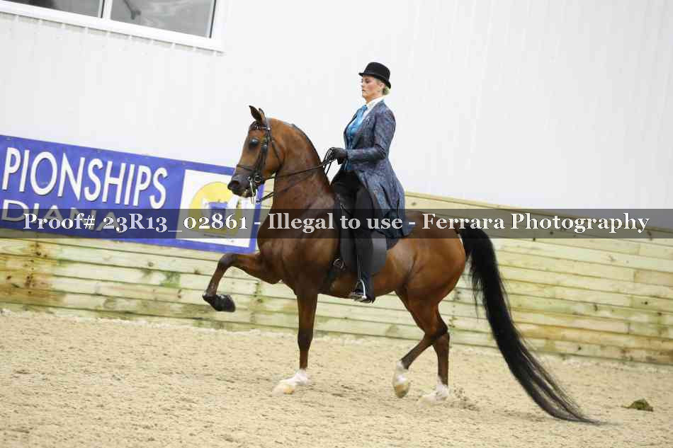 Proof Number 23R13_02861