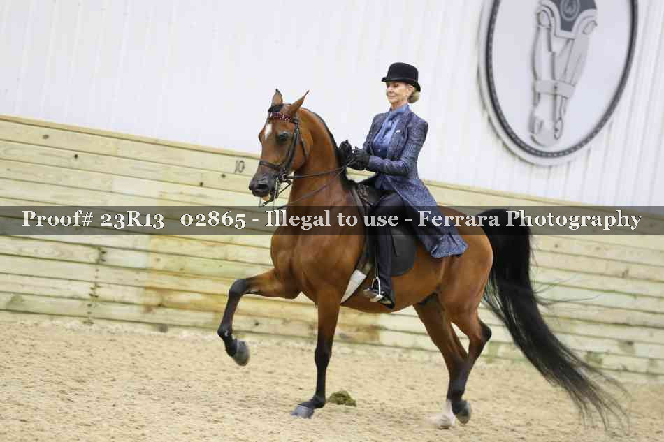 Proof Number 23R13_02865
