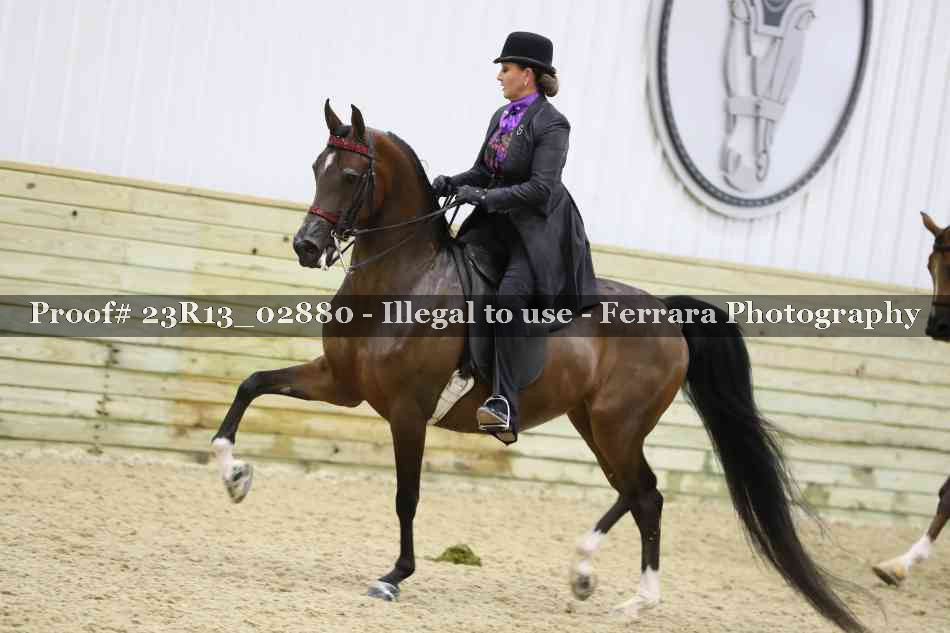 Proof Number 23R13_02880