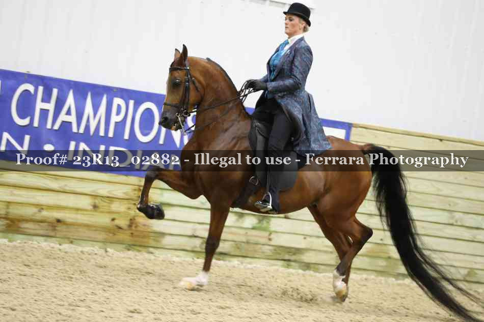 Proof Number 23R13_02882