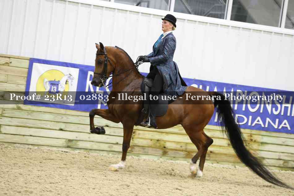 Proof Number 23R13_02883