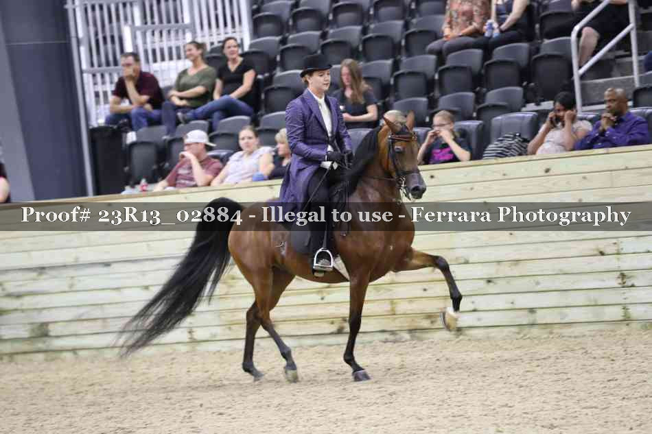Proof Number 23R13_02884