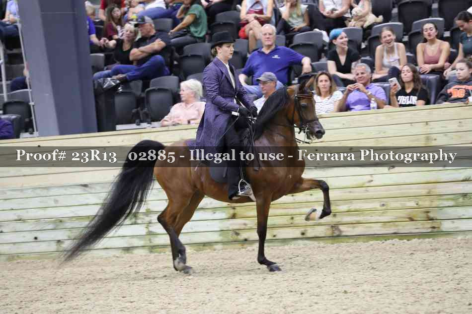 Proof Number 23R13_02885