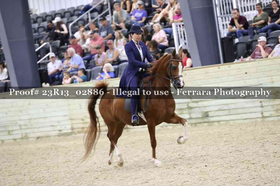 Proof Number 23R13_02886