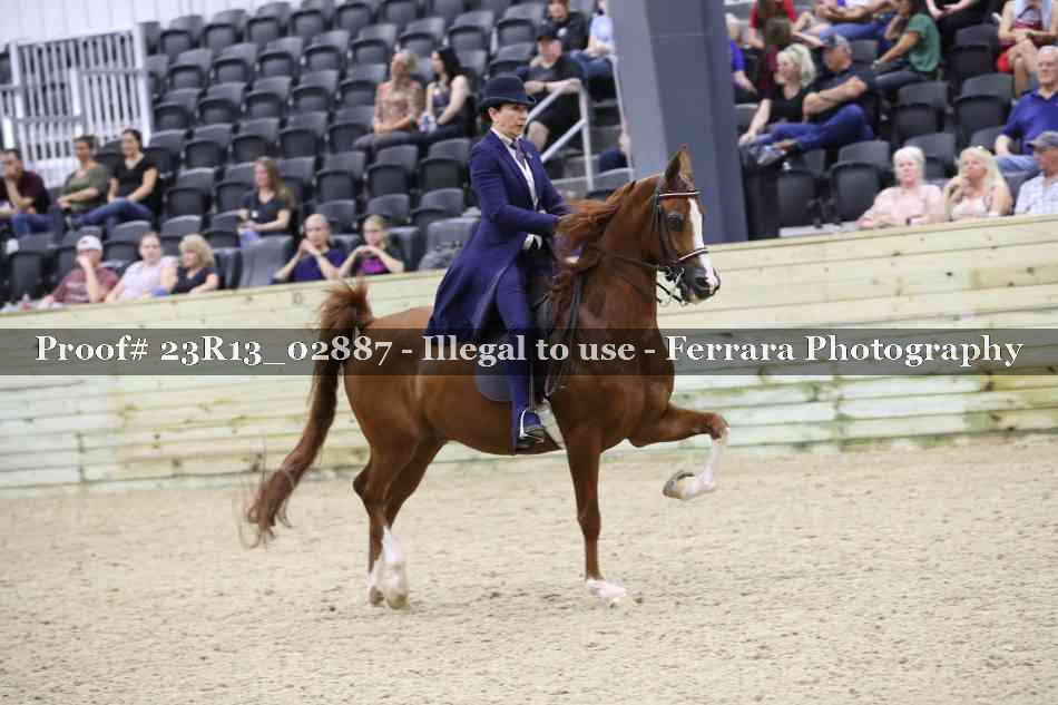 Proof Number 23R13_02887