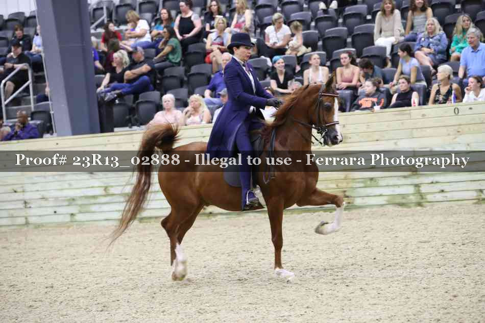 Proof Number 23R13_02888