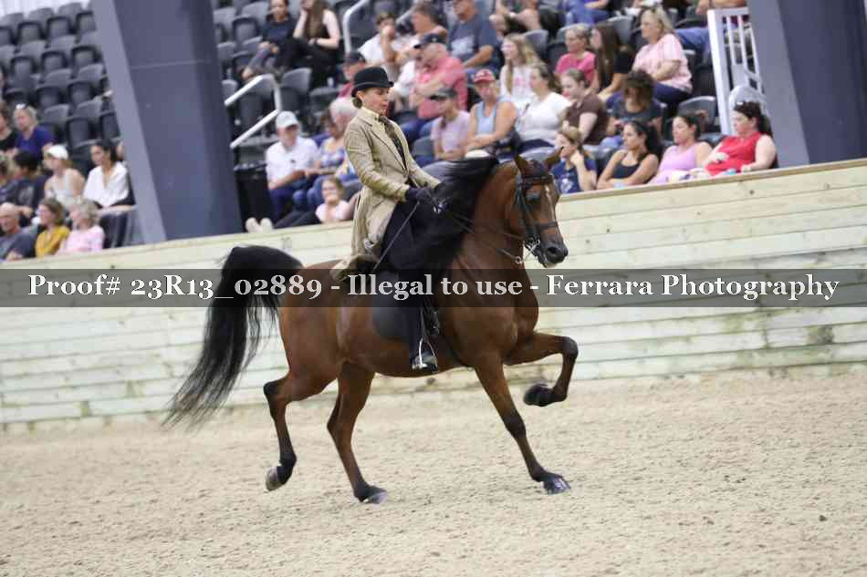 Proof Number 23R13_02889