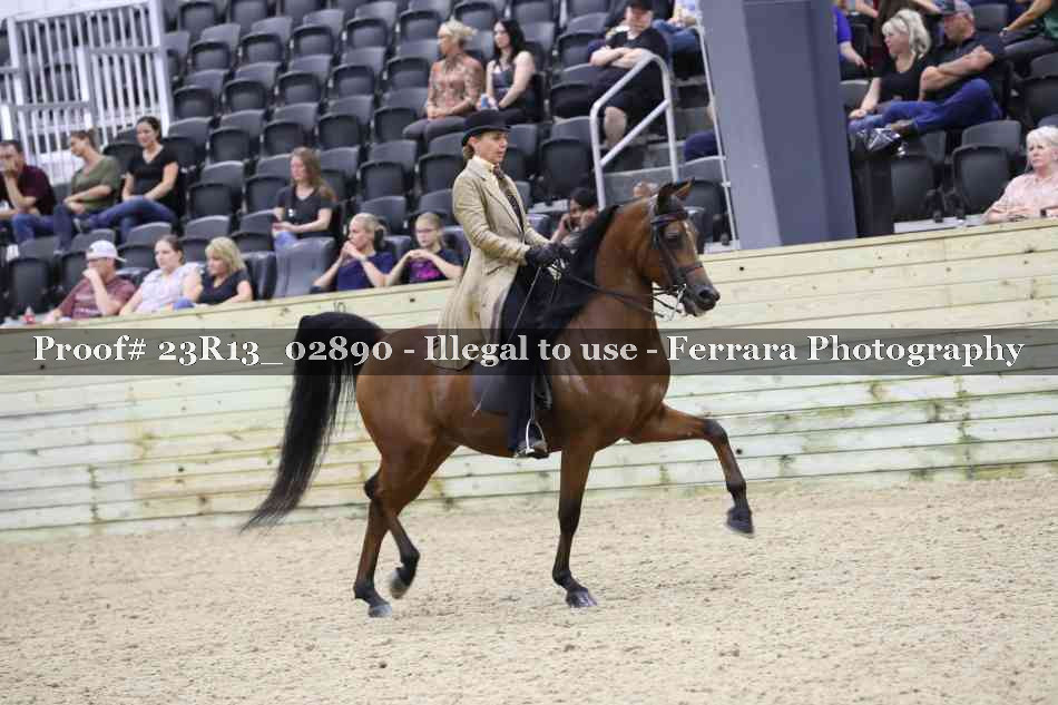 Proof Number 23R13_02890