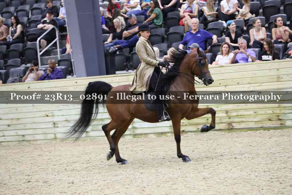 Proof Number 23R13_02891