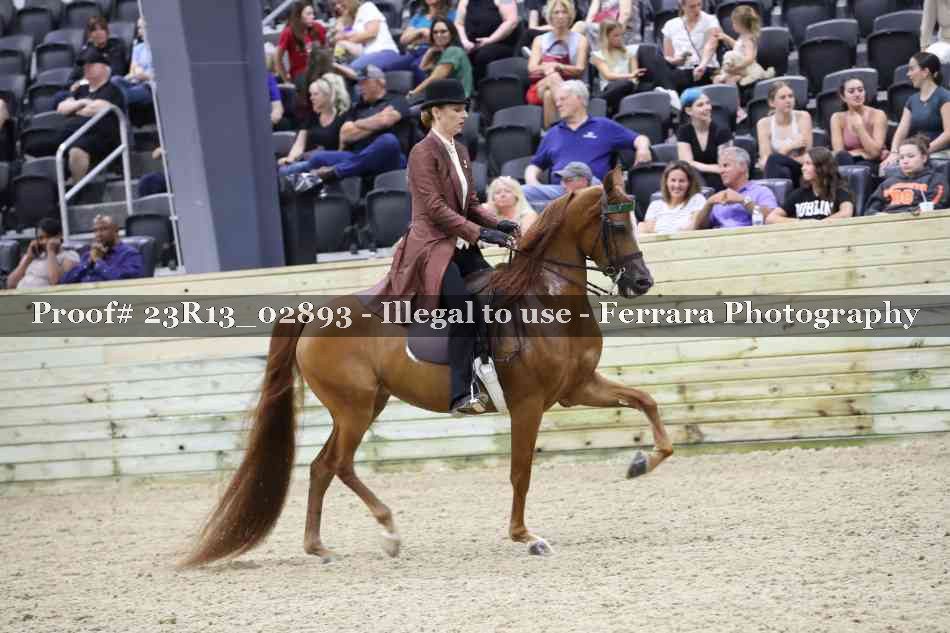 Proof Number 23R13_02893