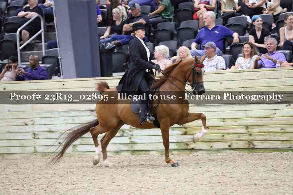 Proof Number 23R13_02895