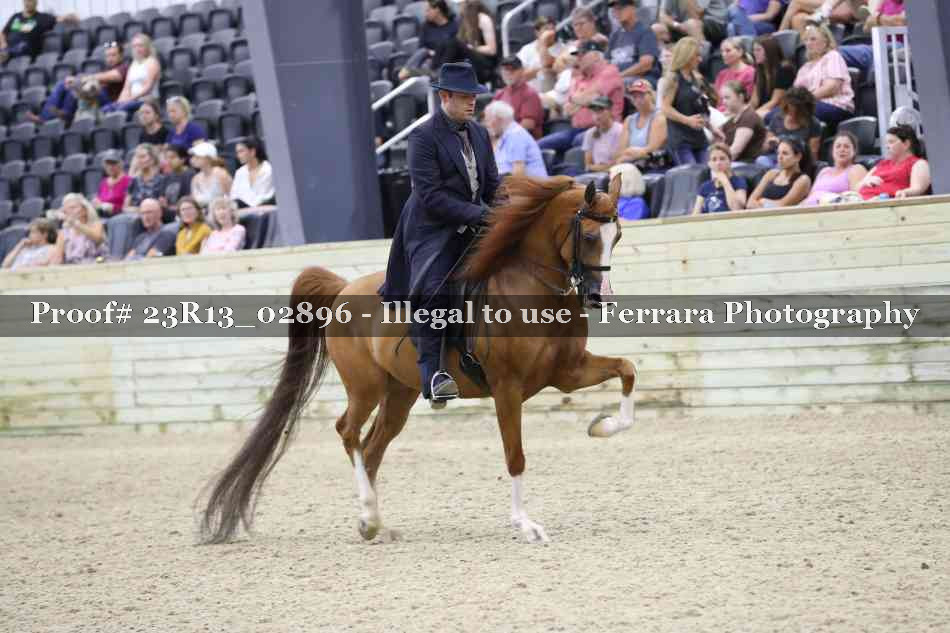 Proof Number 23R13_02896
