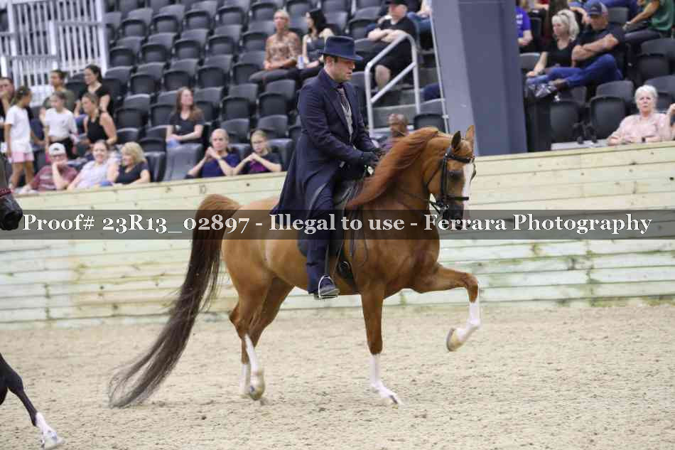 Proof Number 23R13_02897
