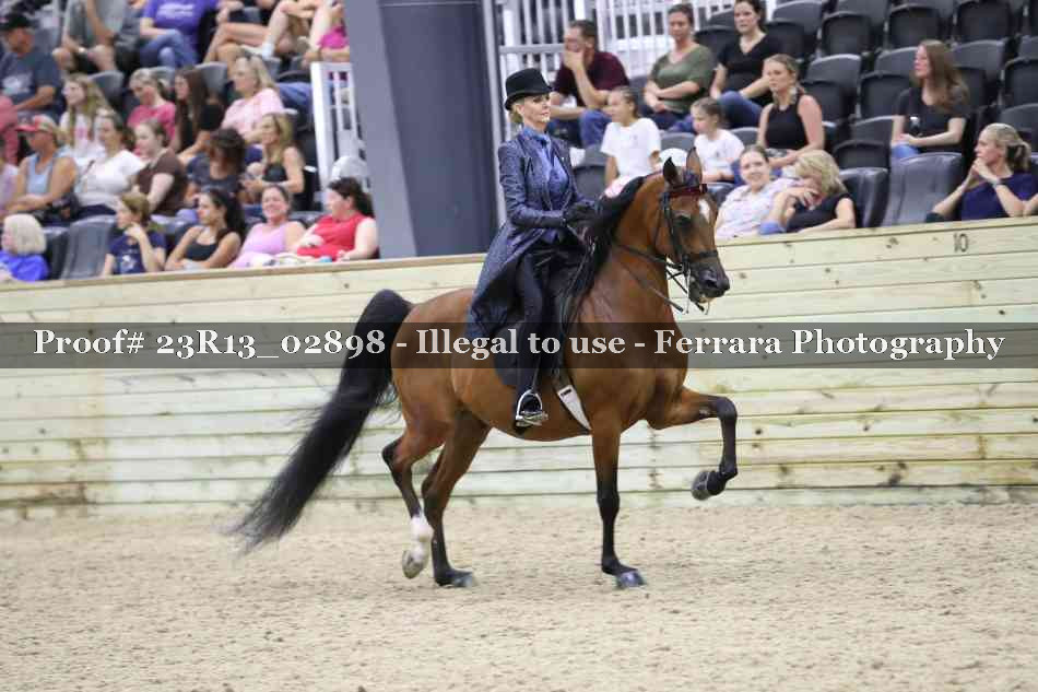 Proof Number 23R13_02898