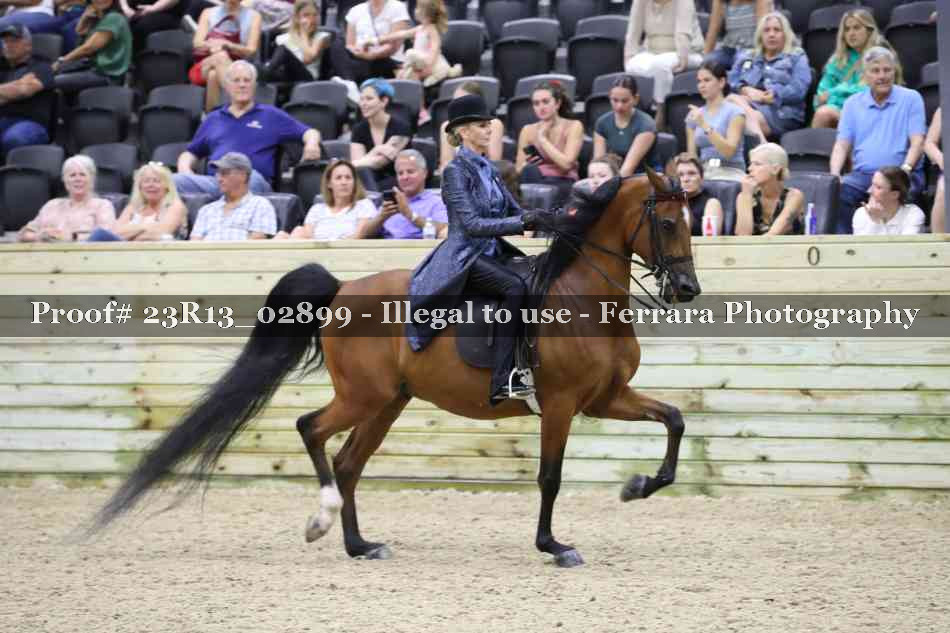 Proof Number 23R13_02899