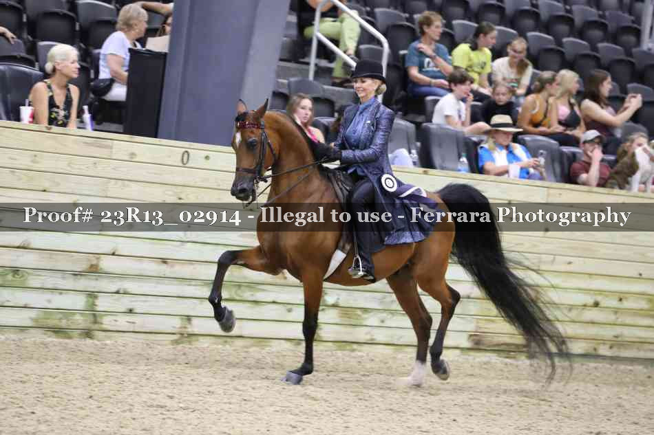 Proof Number 23R13_02914