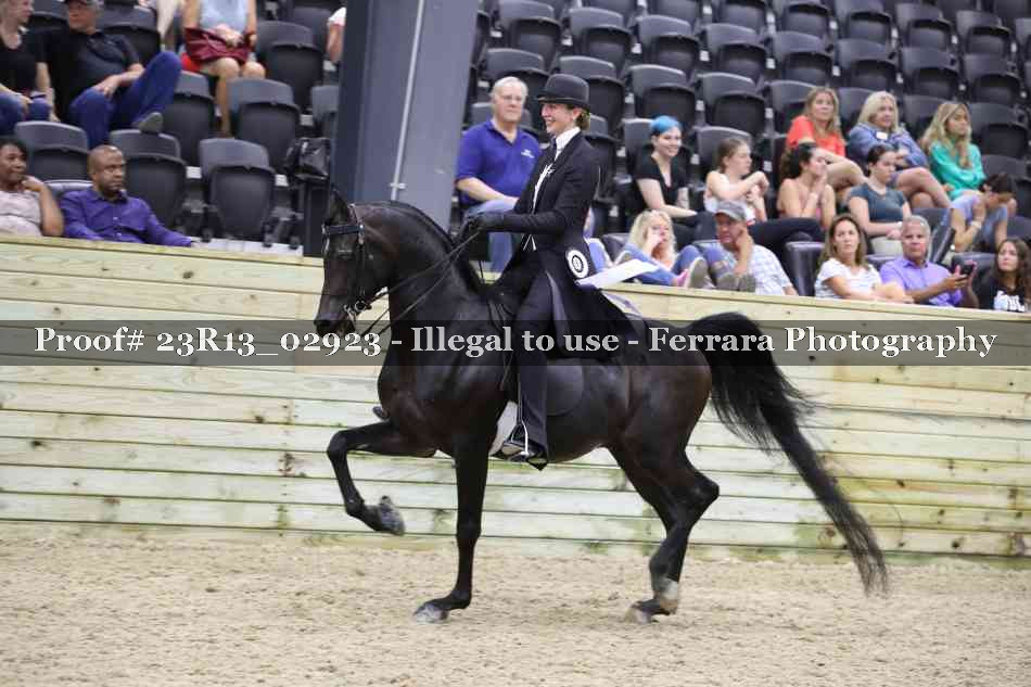 Proof Number 23R13_02923