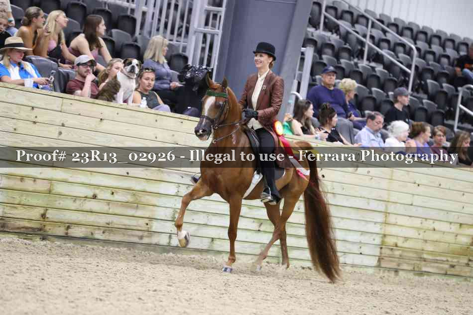Proof Number 23R13_02926