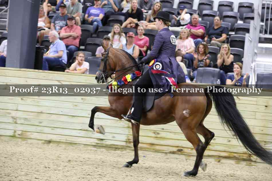 Proof Number 23R13_02937