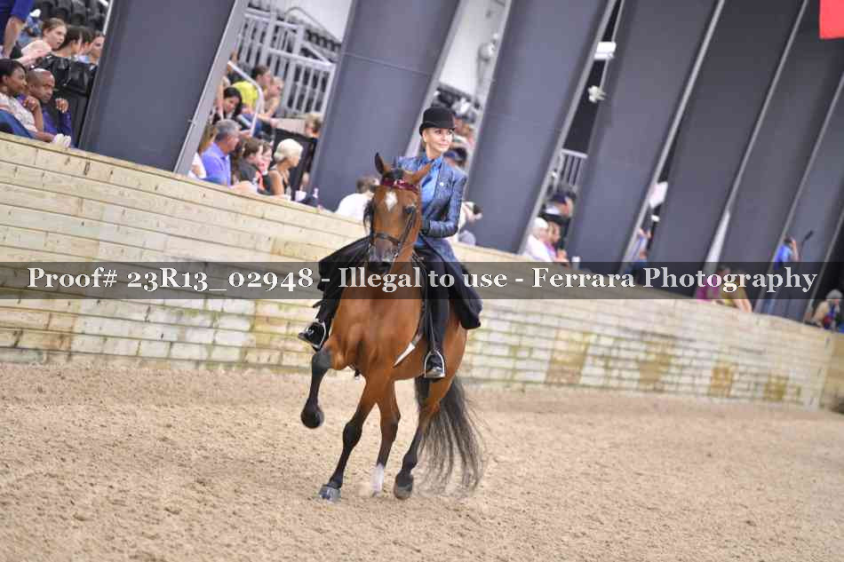 Proof Number 23R13_02948
