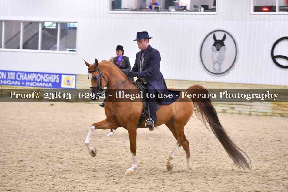 Proof Number 23R13_02954