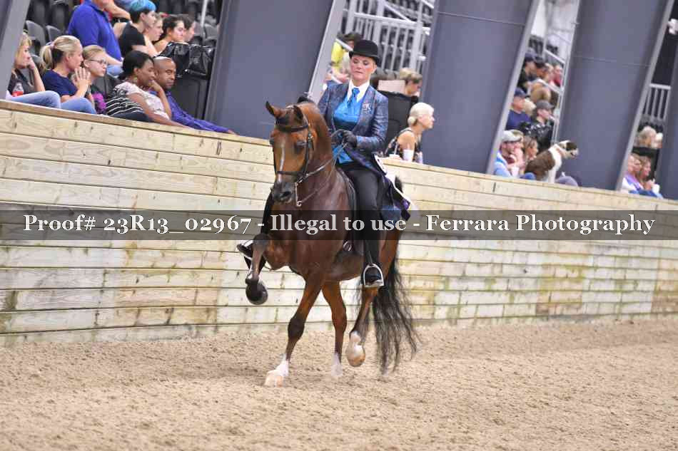 Proof Number 23R13_02967