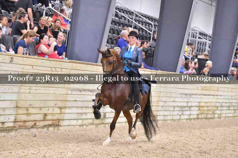 Proof Number 23R13_02968