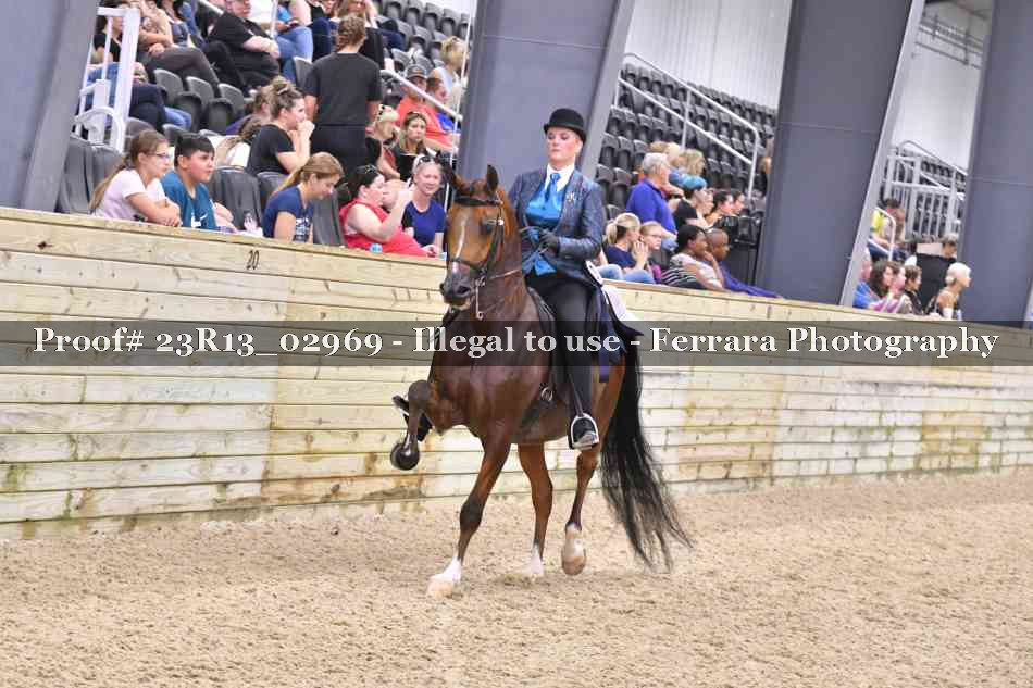 Proof Number 23R13_02969