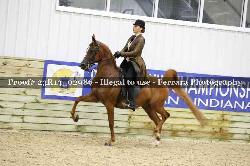 Proof Number 23R13_02986