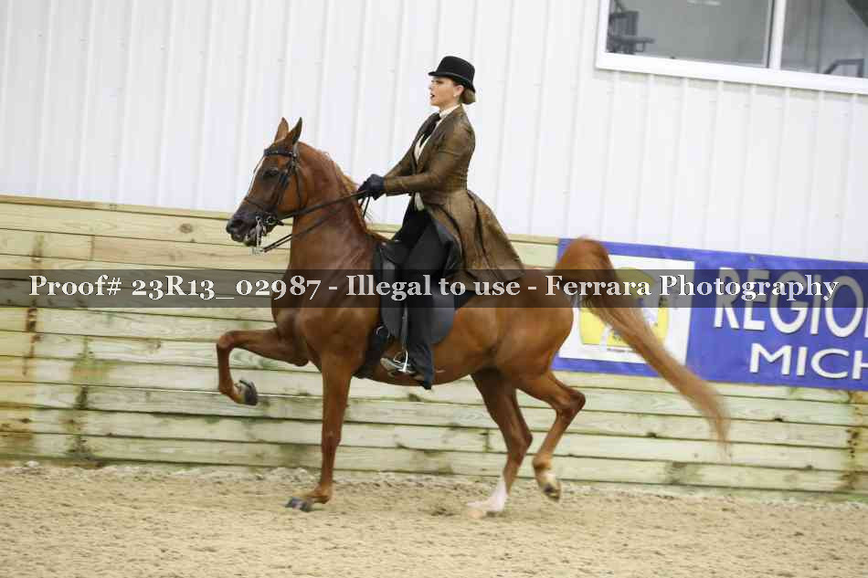 Proof Number 23R13_02987