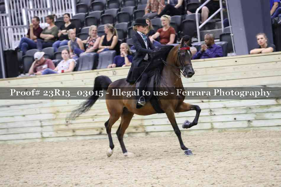 Proof Number 23R13_03015