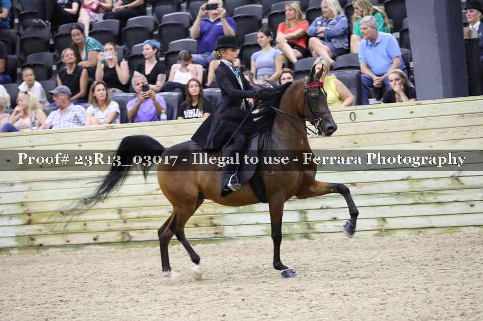 Proof Number 23R13_03017