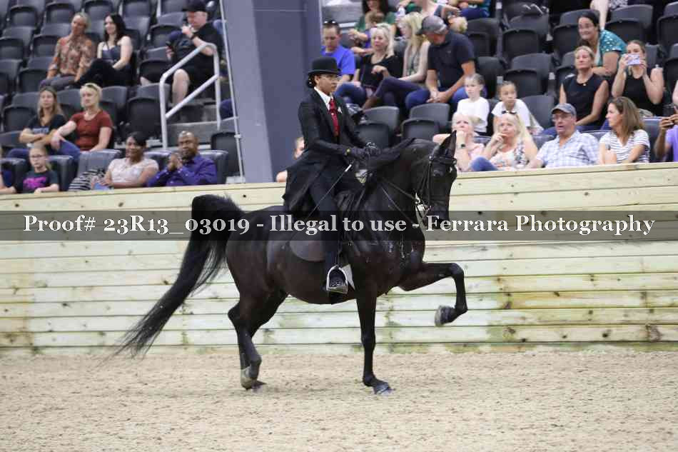 Proof Number 23R13_03019