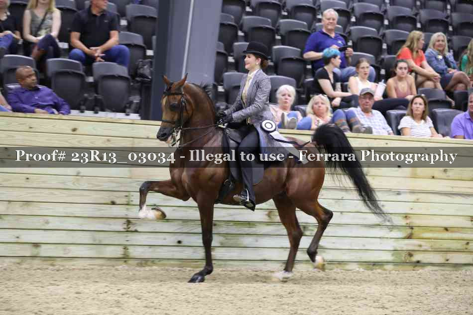 Proof Number 23R13_03034
