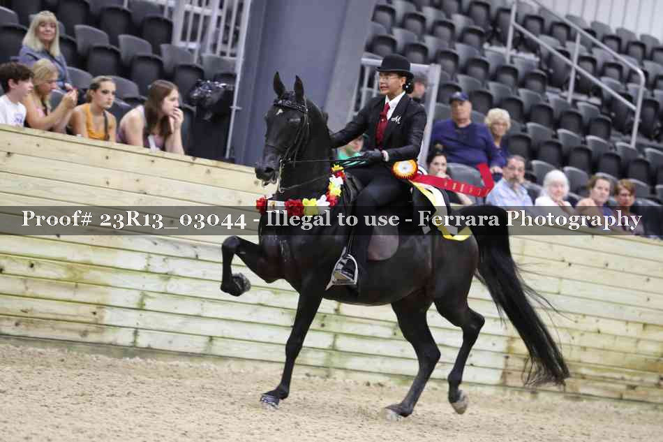 Proof Number 23R13_03044
