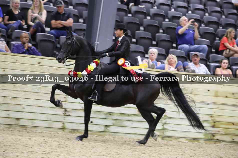 Proof Number 23R13_03046