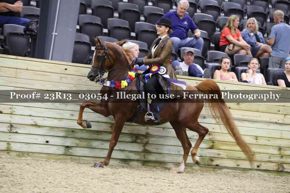 Proof Number 23R13_03054