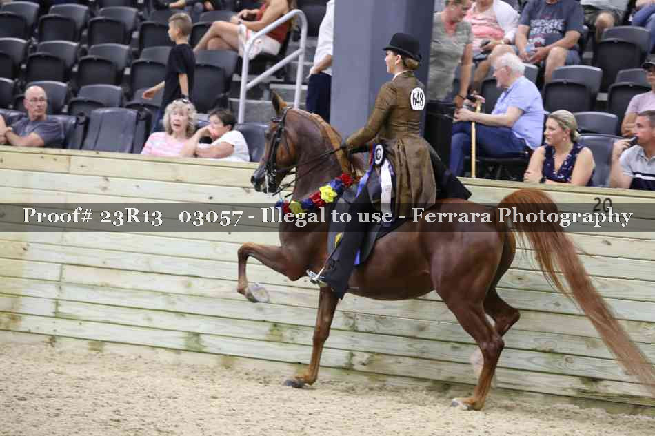 Proof Number 23R13_03057