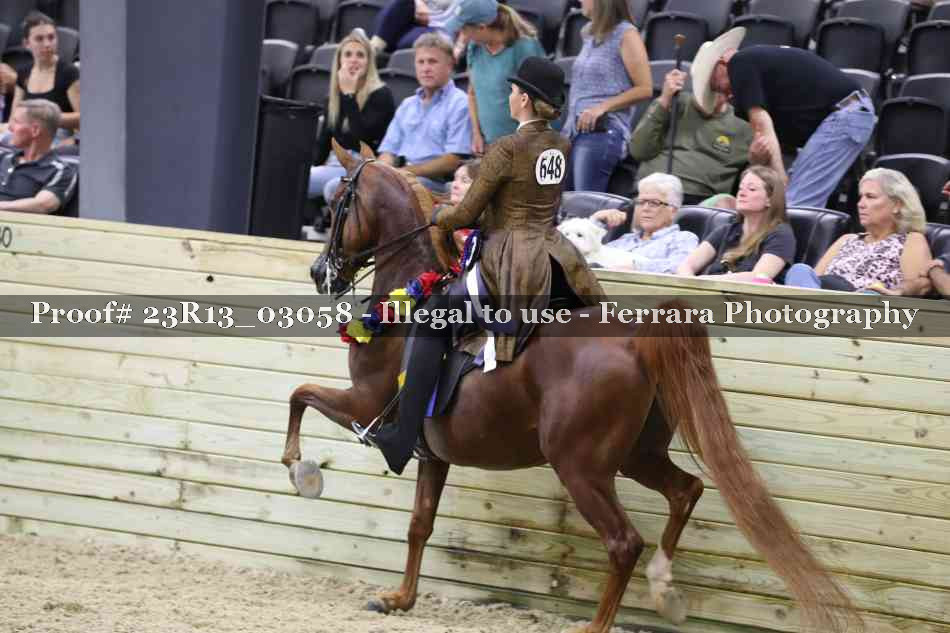 Proof Number 23R13_03058