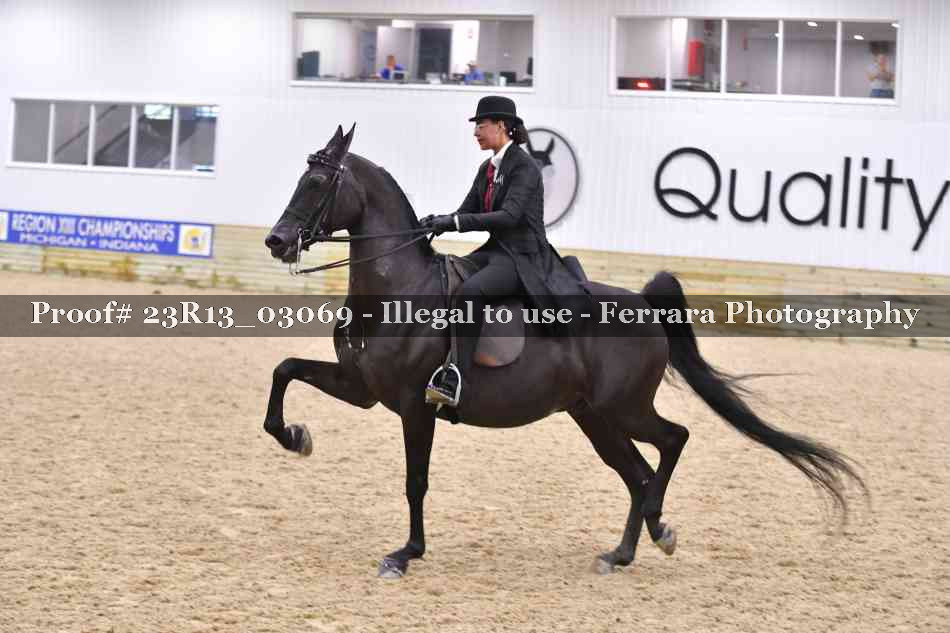 Proof Number 23R13_03069