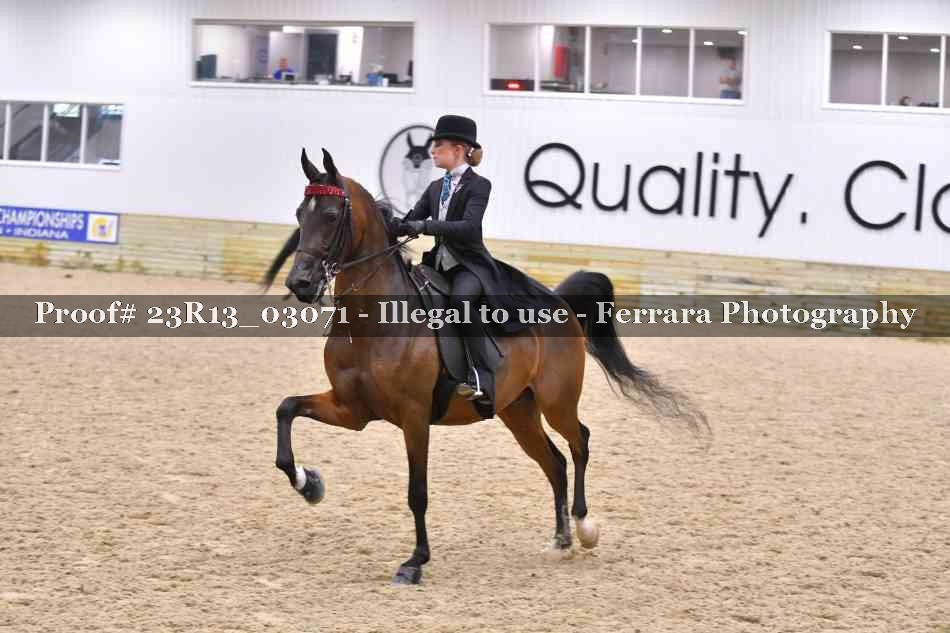 Proof Number 23R13_03071