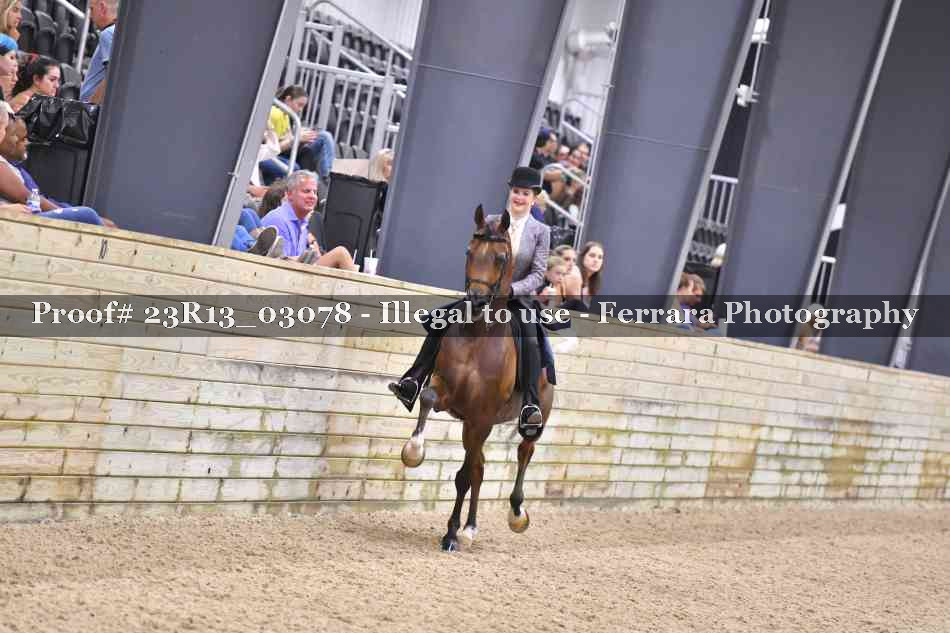 Proof Number 23R13_03078