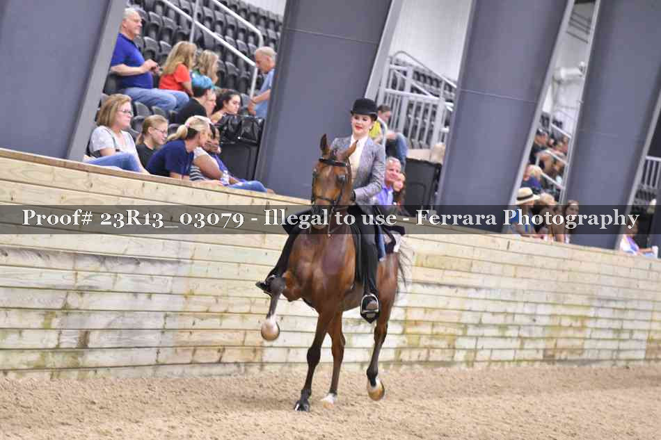Proof Number 23R13_03079