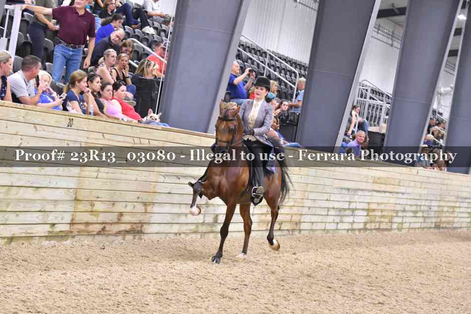 Proof Number 23R13_03080