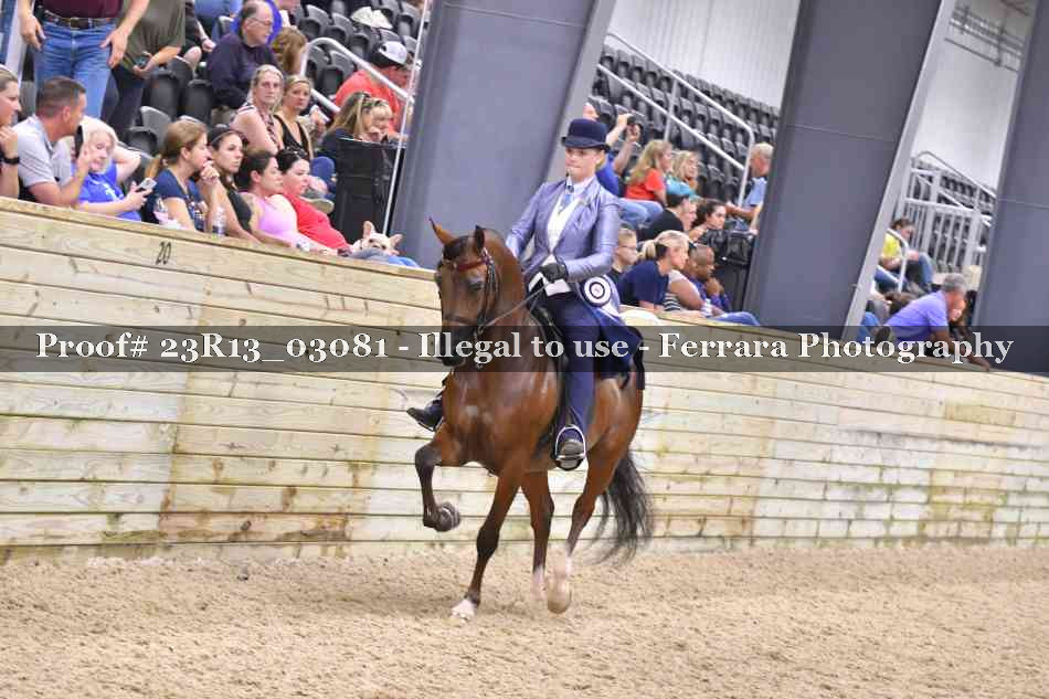 Proof Number 23R13_03081