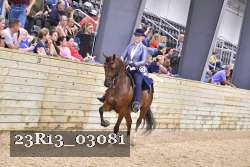 23R13_03081 thumbnail