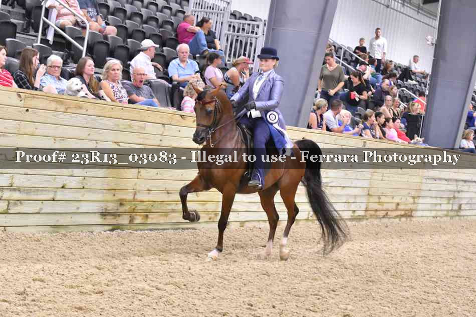 Proof Number 23R13_03083