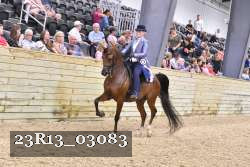 23R13_03083 thumbnail