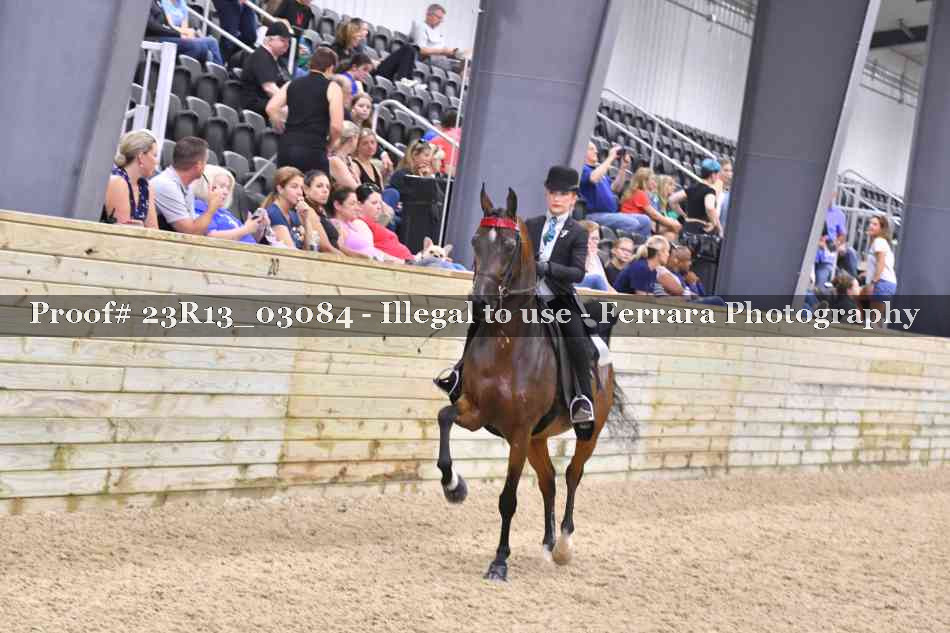 Proof Number 23R13_03084