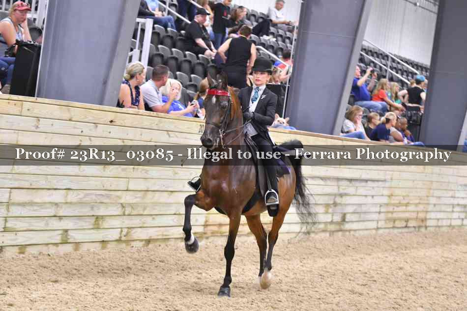 Proof Number 23R13_03085